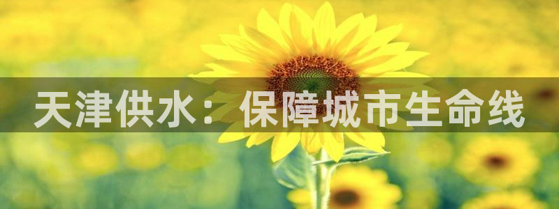 球友会官网登录入口手机版