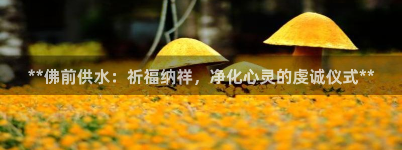 关键词