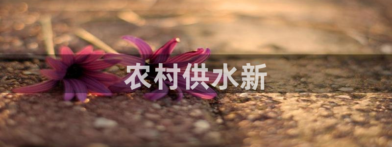 球友会联赛