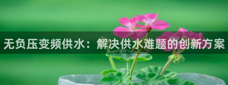 球友会台球俱乐部官网