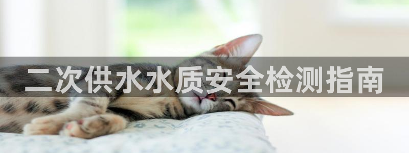 球友会怎么样