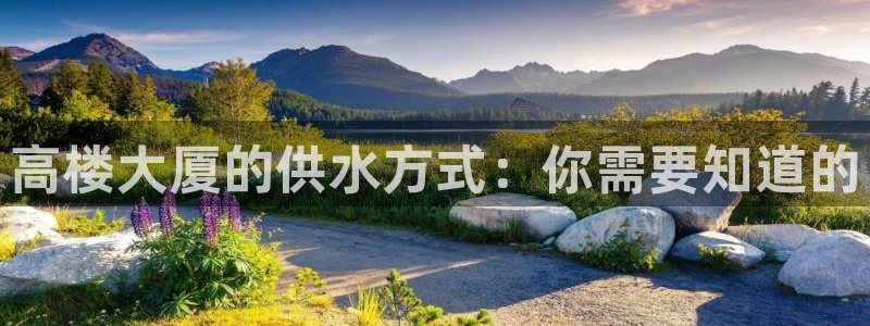 球友会app介绍