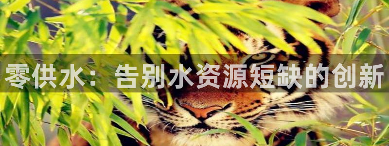 球友会qy