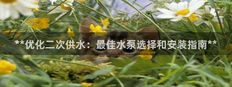 球友会台球俱乐部官网
