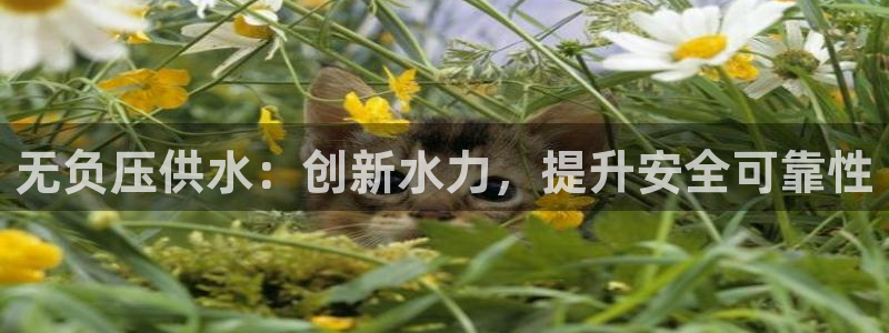球友会提现不到账