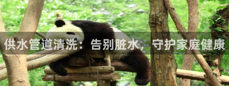 球友会体育官网
