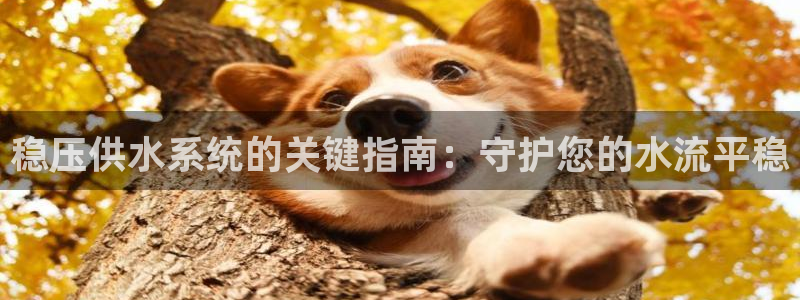 球友会友谊赛赛程赛果