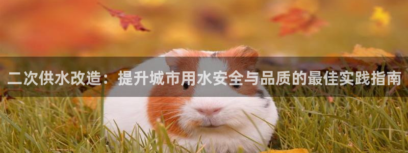 球友会体育app下载安卓版
