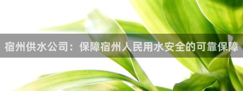 球友会app网址