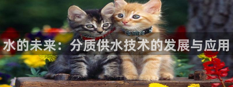 球友会登录网站