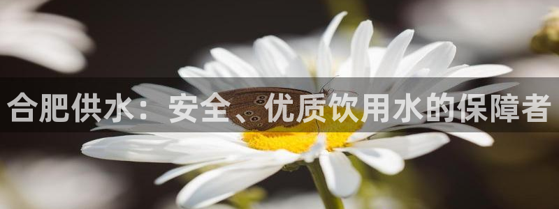 球友会体育app下载安卓手机