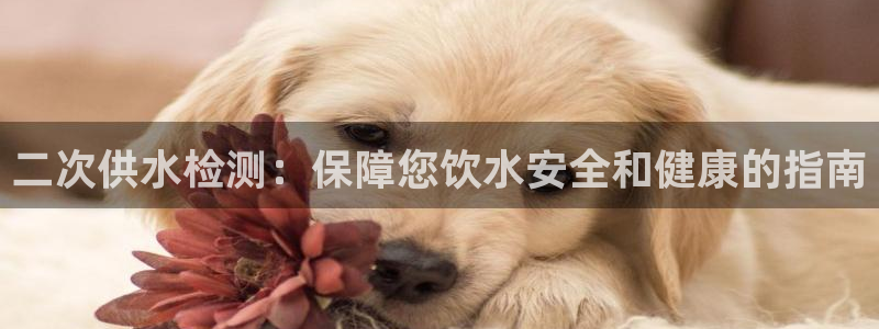 球友会英文怎么说呢翻译